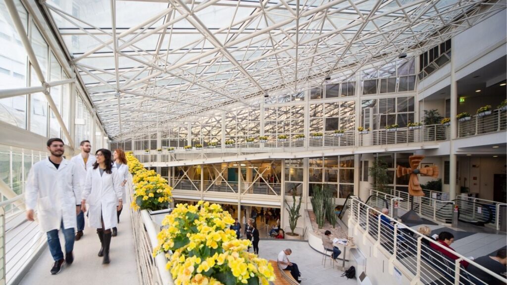 Policlinico Gemelli | Roma